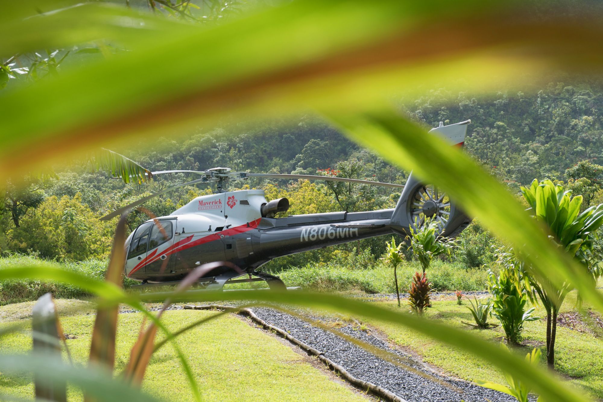 OGG20_HanaRainforestExperience2_MCA_2025_006.jpg