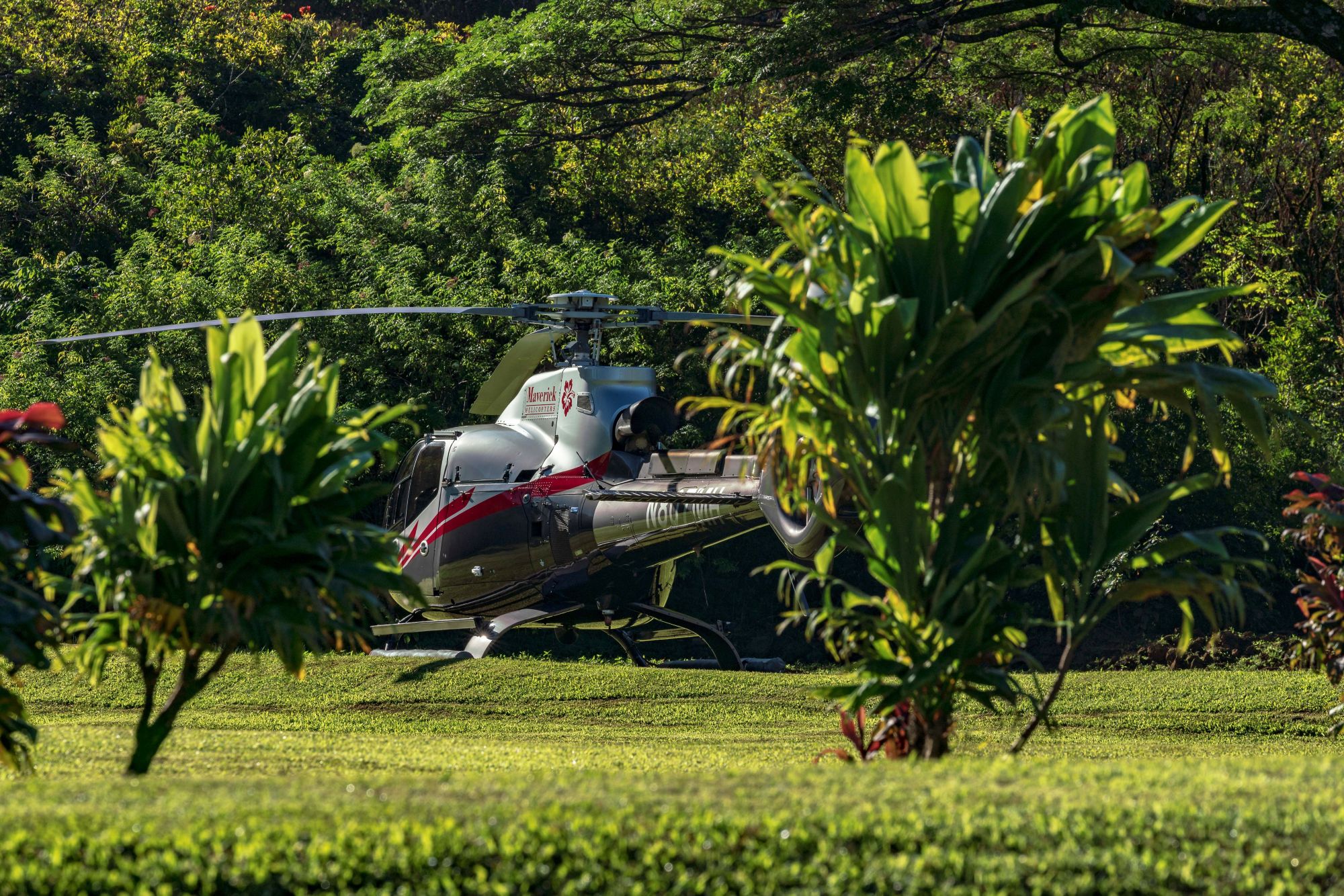 OGG20_HanaRainforestExperience_MCA_2025_005.jpg