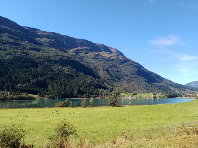 OLD06_OldenLake_003.jpg
