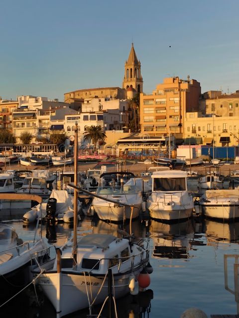 PAL55_PALAMOS_002.png