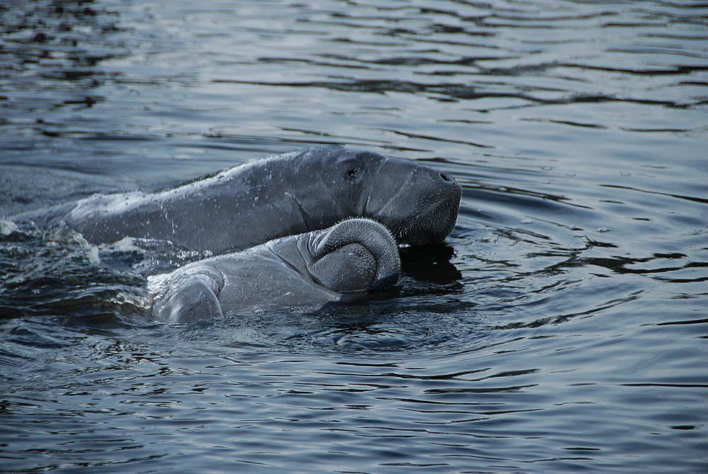 PCV03_PontoonLagoonCruise_001.jpg