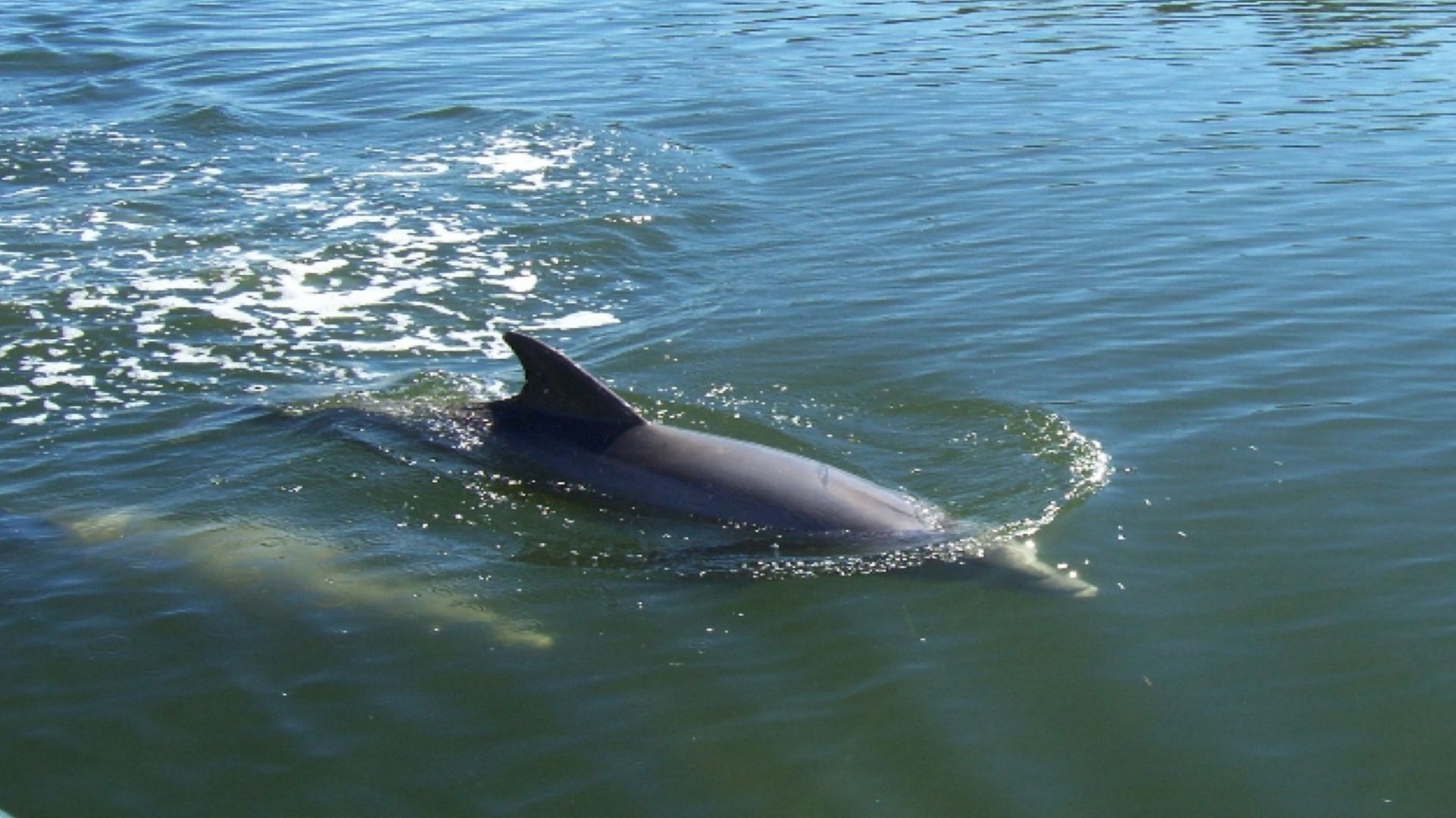 PCV03_Pontoon_006.jpg