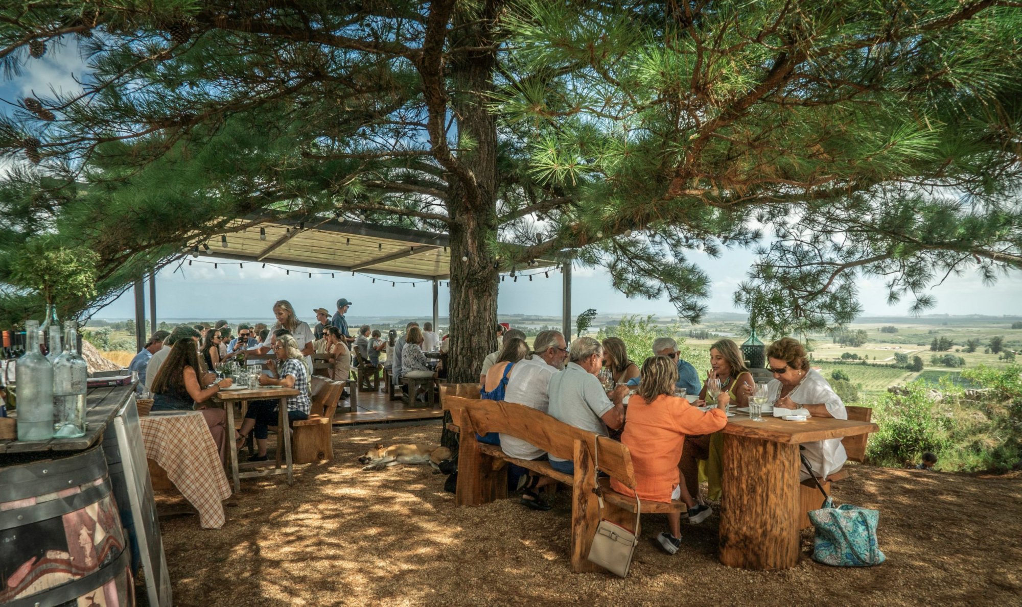 Alto de la Ballena: Ein Fest für Gaumen und Augen