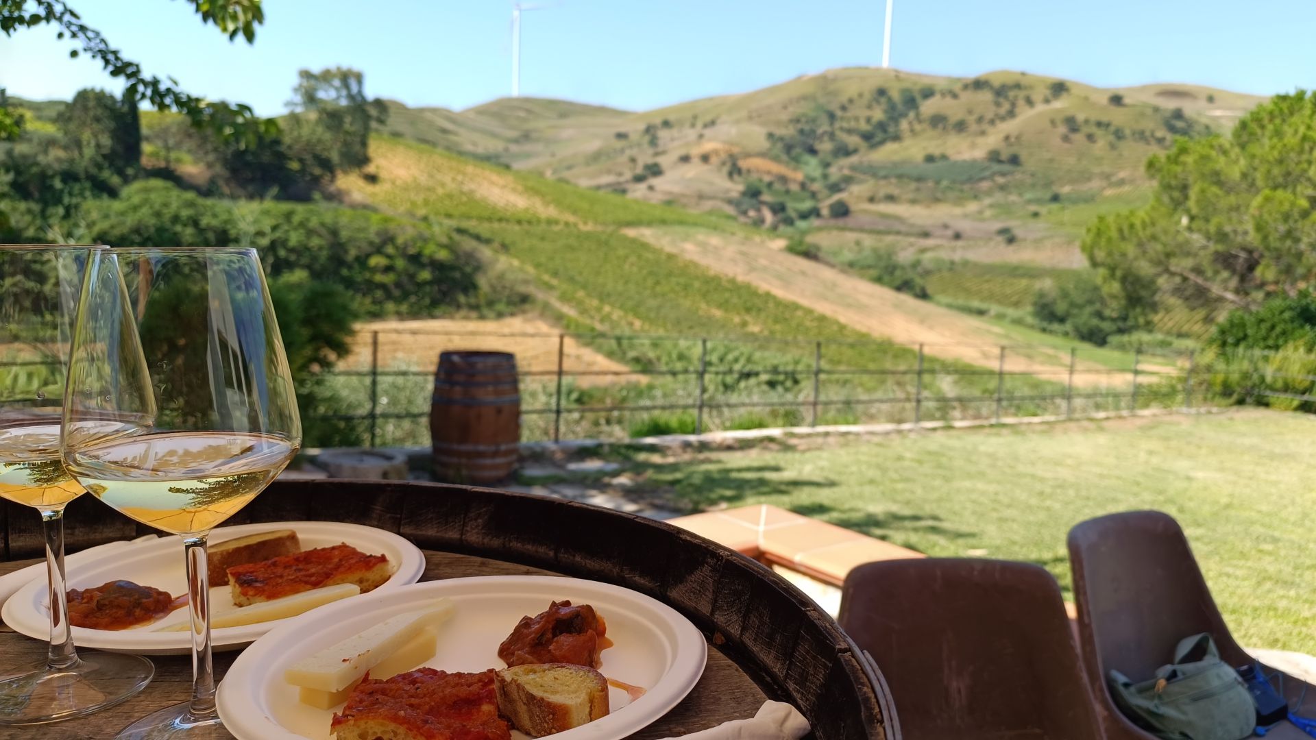 PLM13_Weinprobe_ST_2025_quer_004.jpg