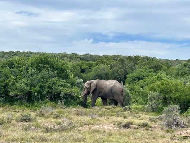 Zu Besuch im Pumba Wildtierreservat