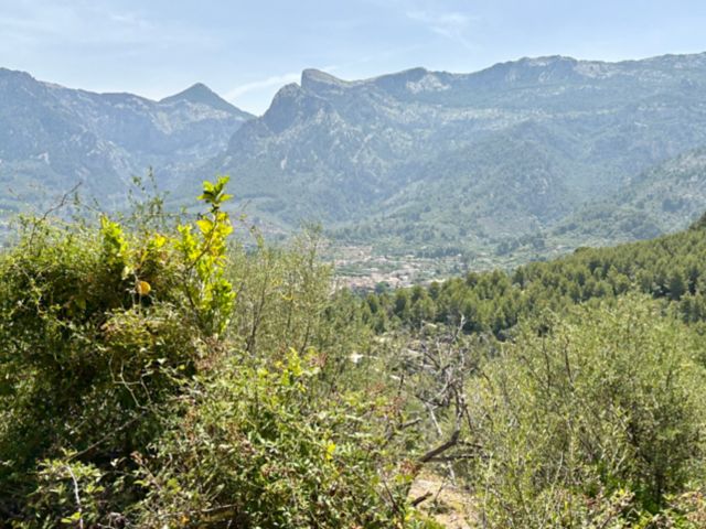 PMI02_TramuntanaAussichtZug_DRTW_202506_010.jpg
