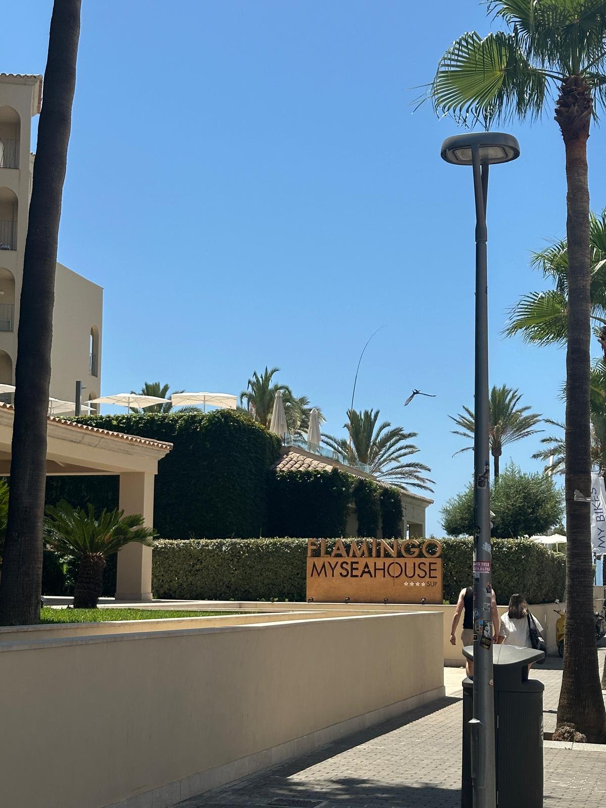 Legendärer Ballermann – Sonne, Strand & Stimmung