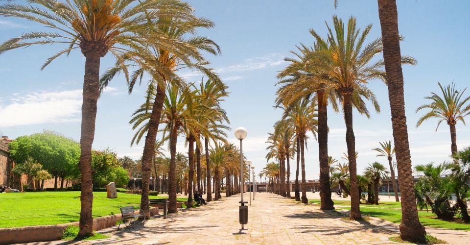 Palma de Mallorca - Accessible Old Town, Palma Cathedral and Local Market - 3