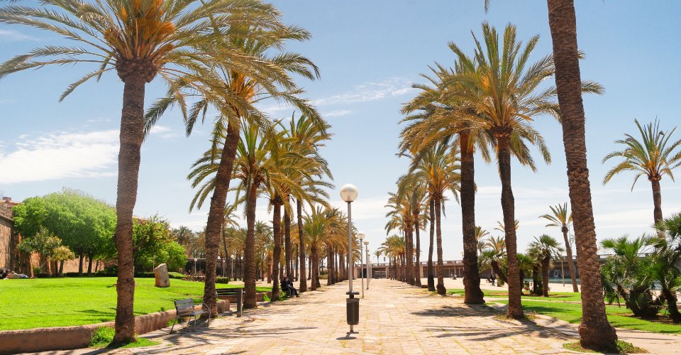 Palma de Mallorca - Accessible Old Town, Palma Cathedral and Local Market - 3