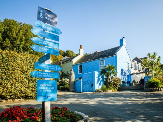 PPO03_Herm_002.jpg