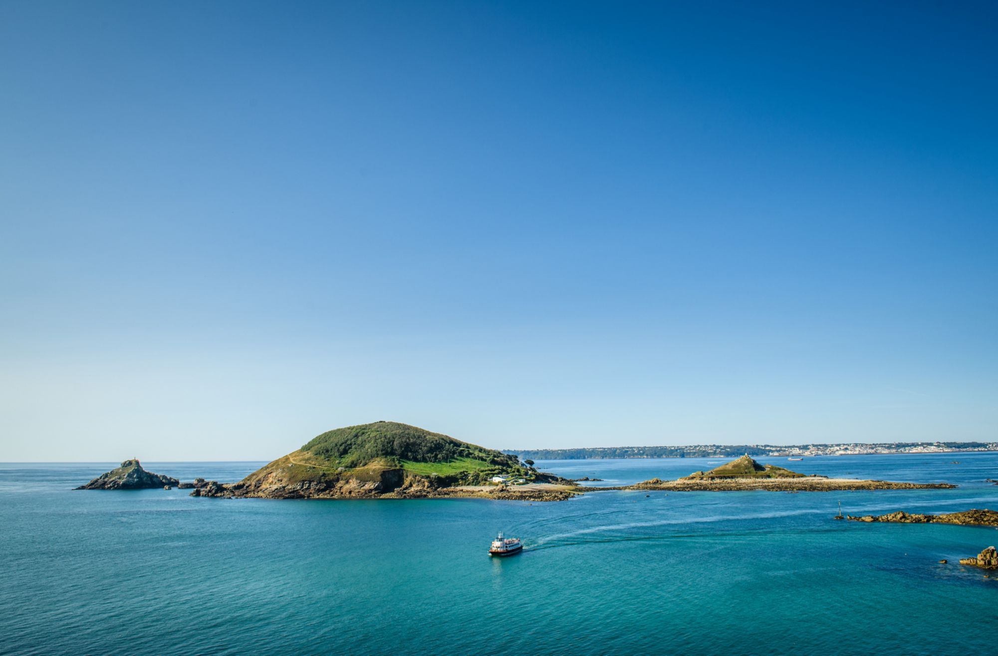 PPO03_Herm_004.jpg