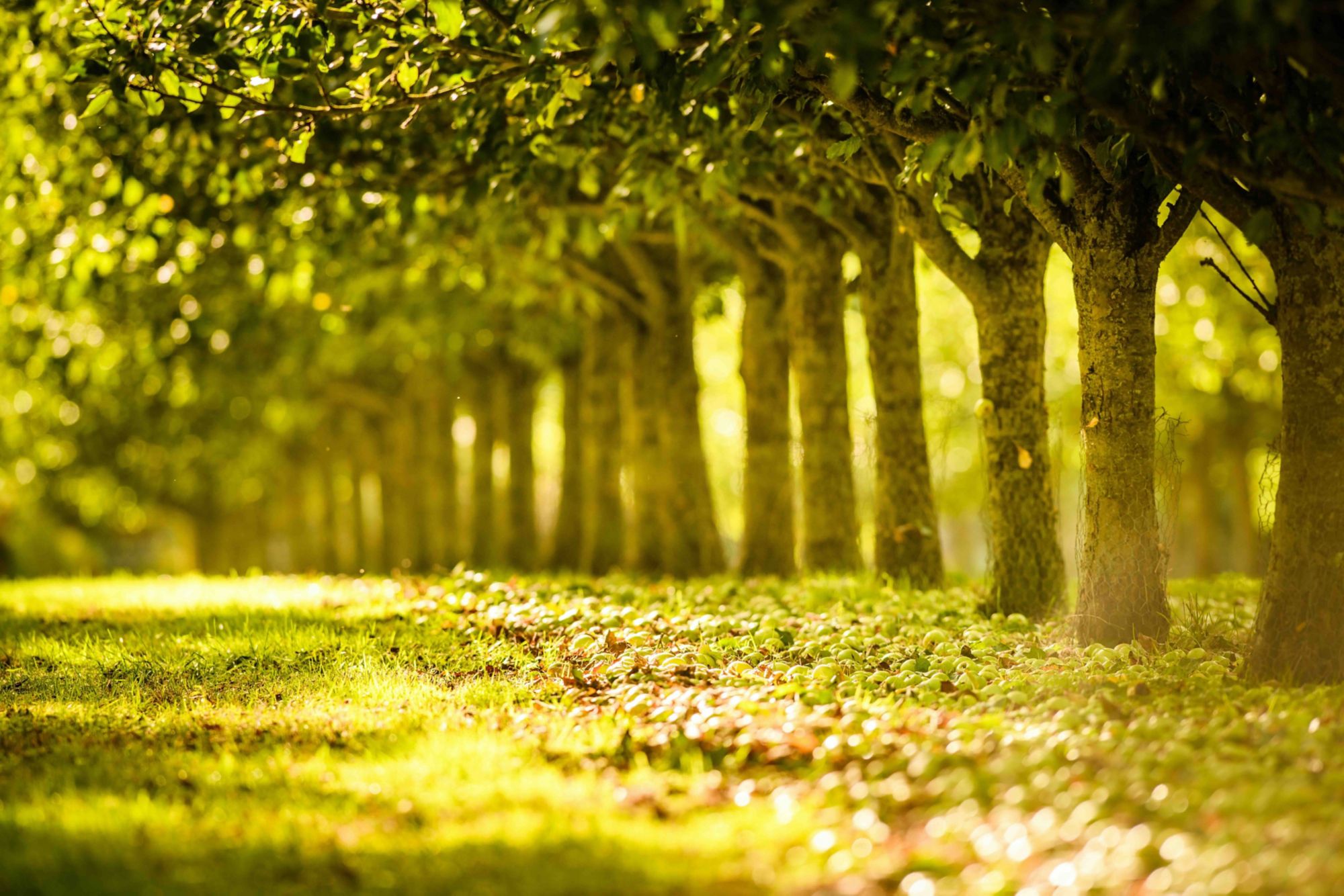 PPO12_ScenicDriveandCidarFarm_003.jpg