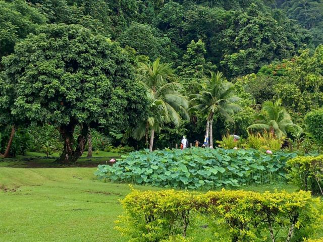 PPT02_Botan.Garten_SO_2023_hoch.jpg