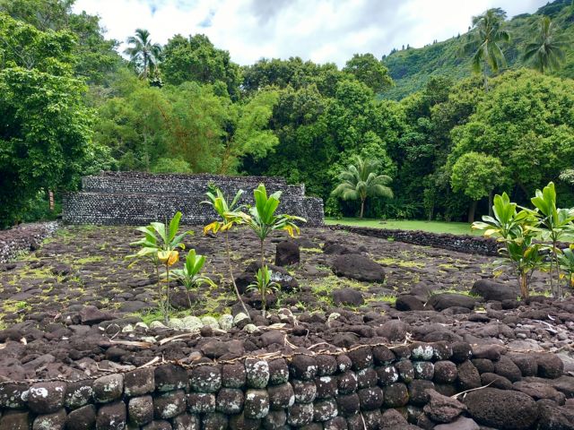 Auf den Spuren der Geschichte Tahitis