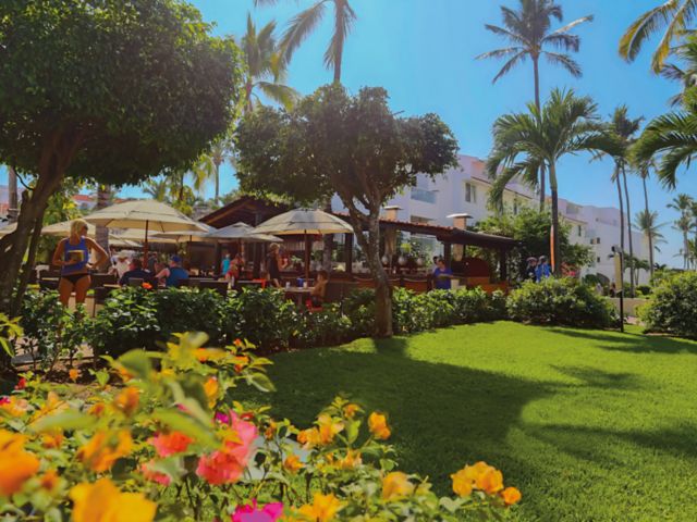 PVR11_MarivalEmotionsGarden_Travelex_2025_quer_002.jpg