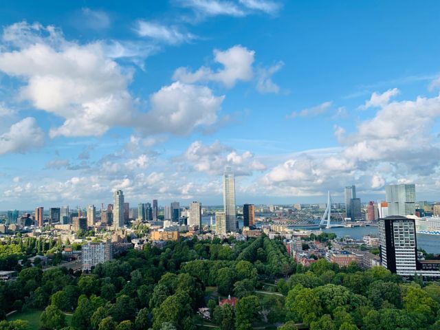 Rotterdam im Rampenlicht: Blick vom Euromast