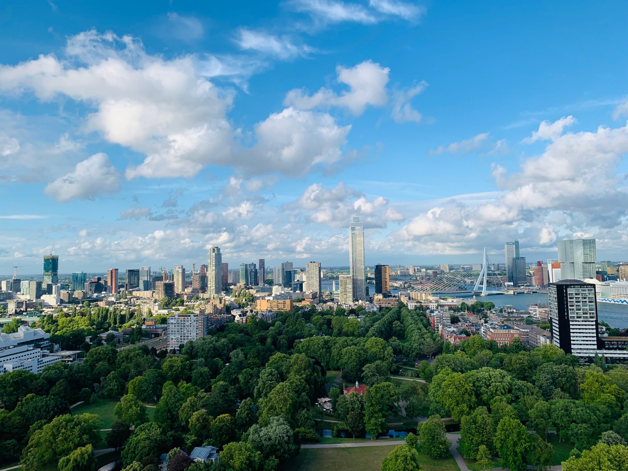 Rotterdam im Rampenlicht: Blick vom Euromast