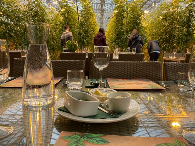 REY12_Greenhouse_AKJ-DR_2025_quer4.JPG