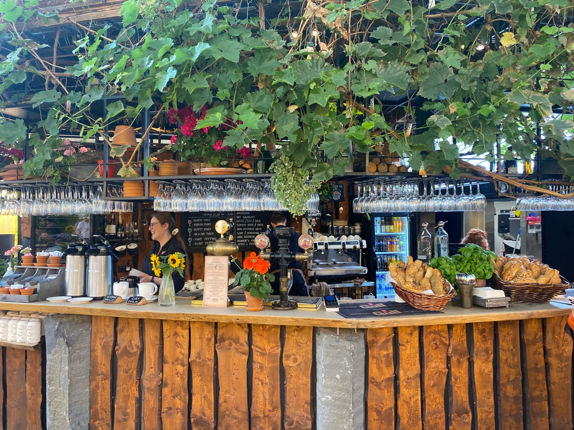 Island: Naturkraft und Kultur vereint