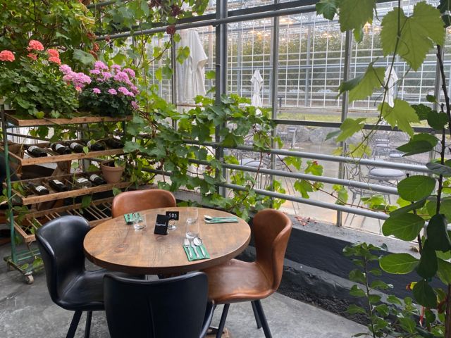 REY12_Greenhouse_AKJ-DR_2025_quer9.JPG