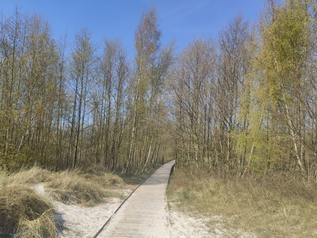 RNN13_DueoddeWeg.02_MA_2025_002.jpg