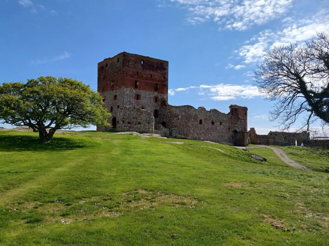 RNN13_Hammerhus_2024_MA_009.JPG