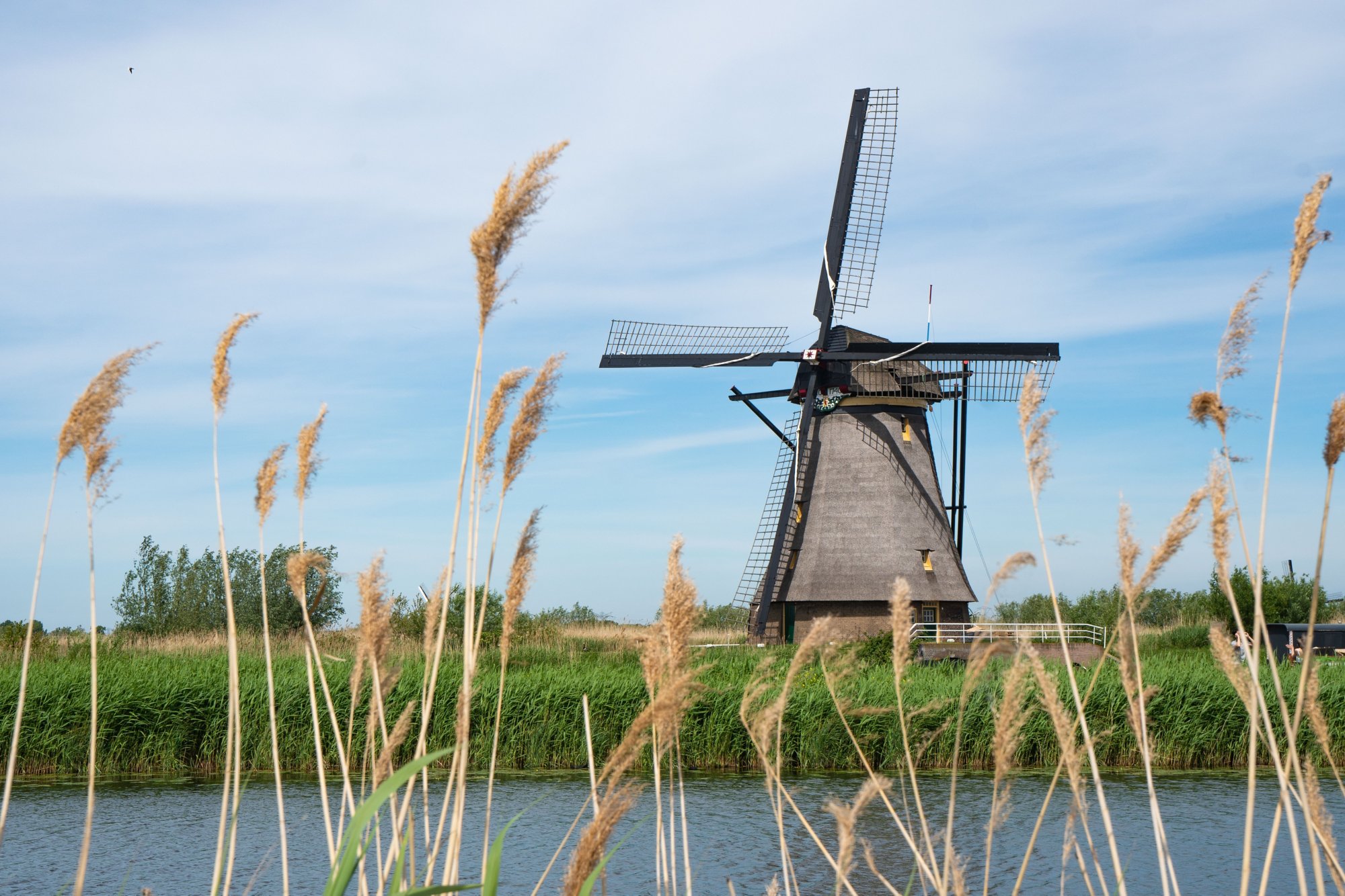 Die Windmühlen von Kinderdijk 