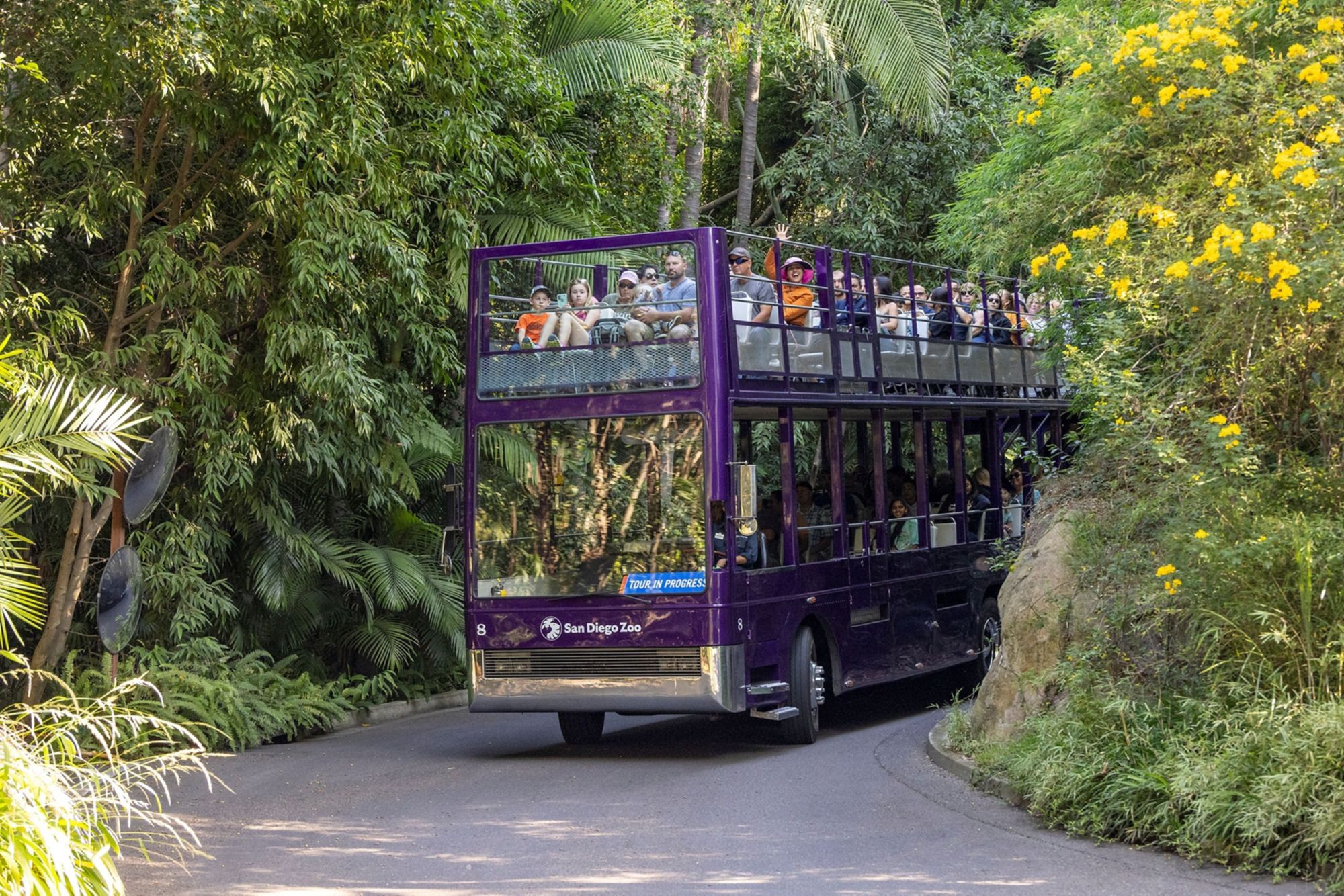 SAD10_SanDiegoZoo-guidedbustour_002.jpg