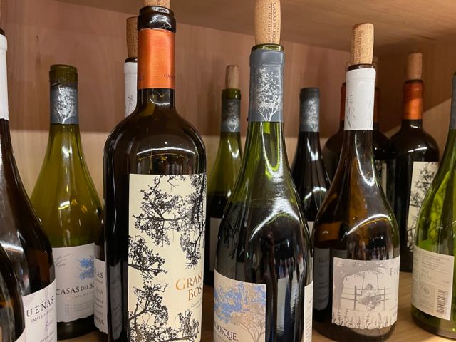 SAI_SAI10_Weingut_SO_2023_quer1.jpg