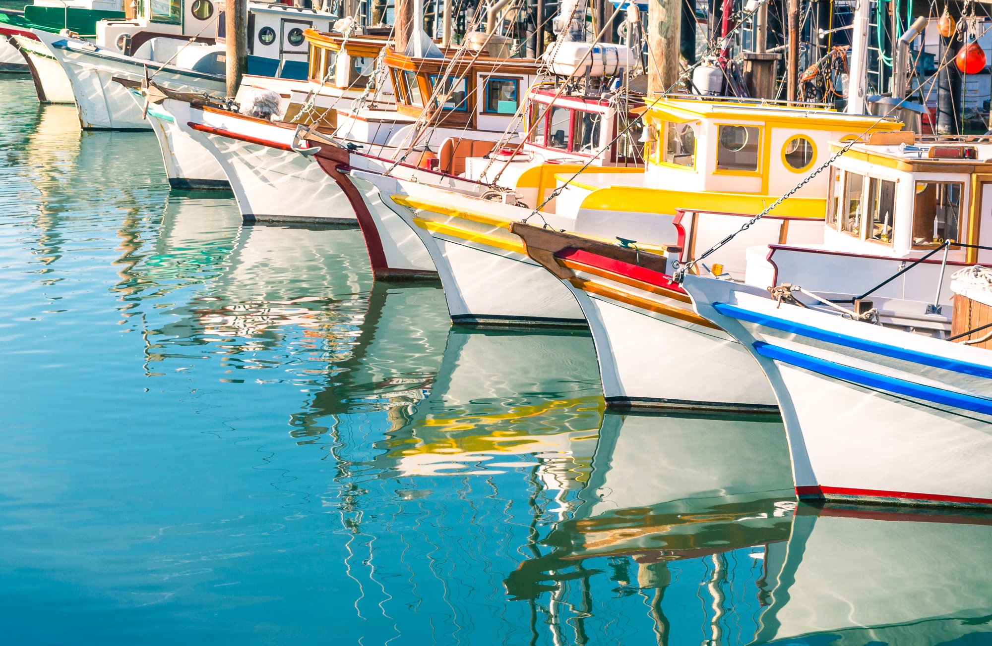 Colorful sailing boats at Fishermans Wharf of San Francisco Bay - California - United States