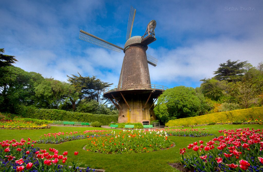 Wanderung durch den Golden Gate Park
