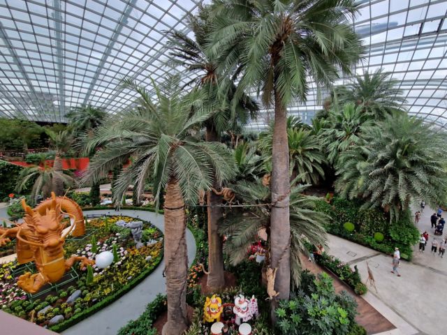 SIN10_GardenbytheBay_BE_2024_quer_007.jpg