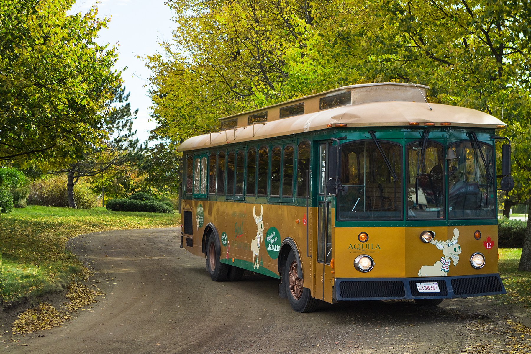 Panoramafahrt durch Saint John