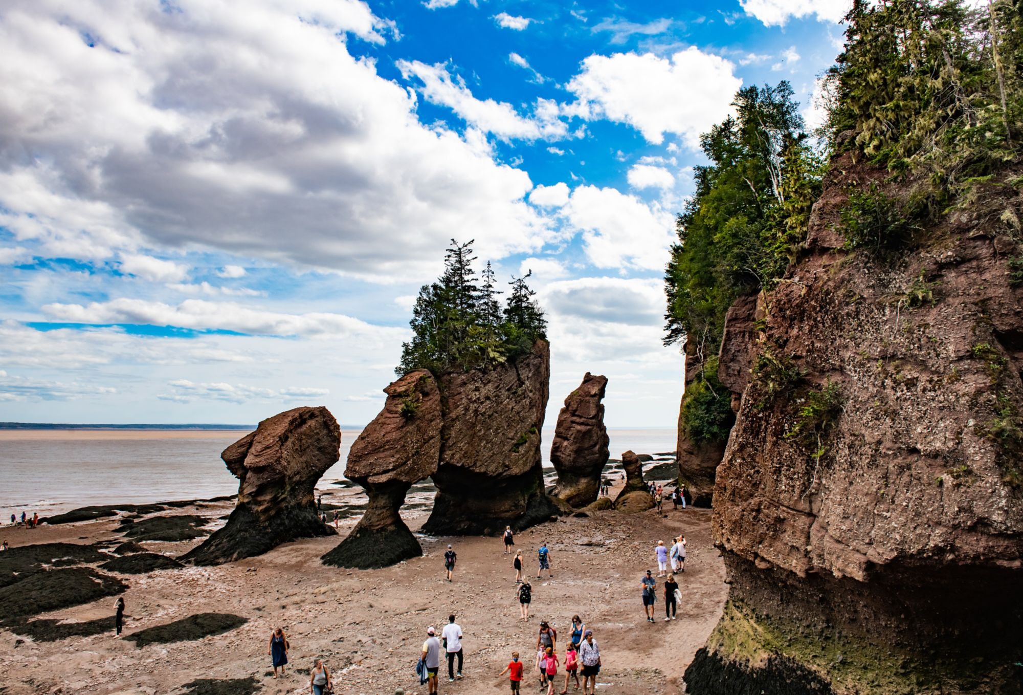 UNESCO-Naturwunder: Hopewell Rocks & die Fundy-Küste