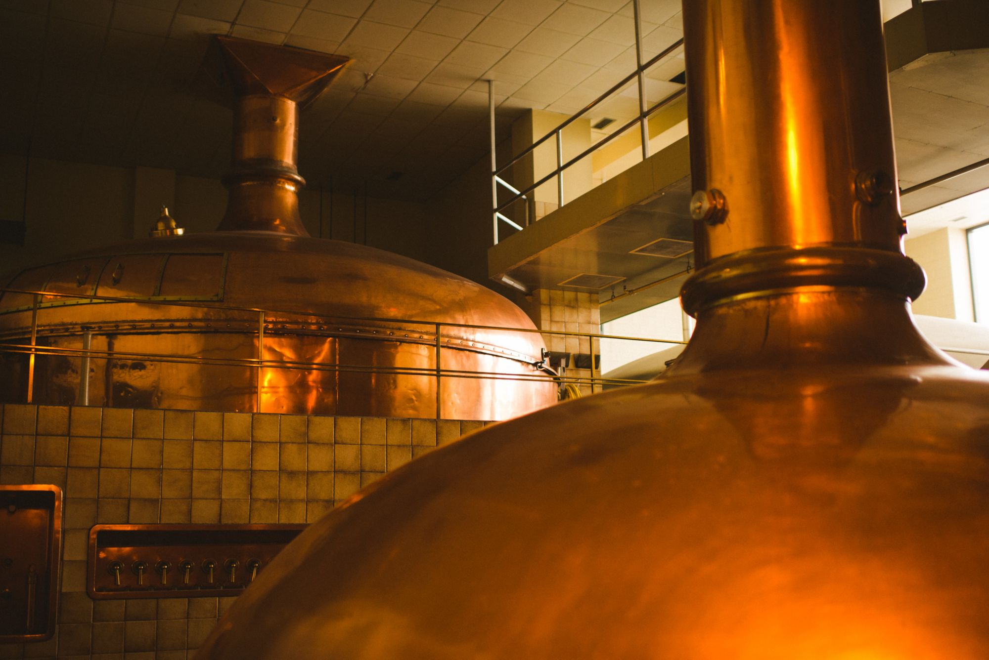 SJB09_MOOSEHEADBREWERY_003.jpg
