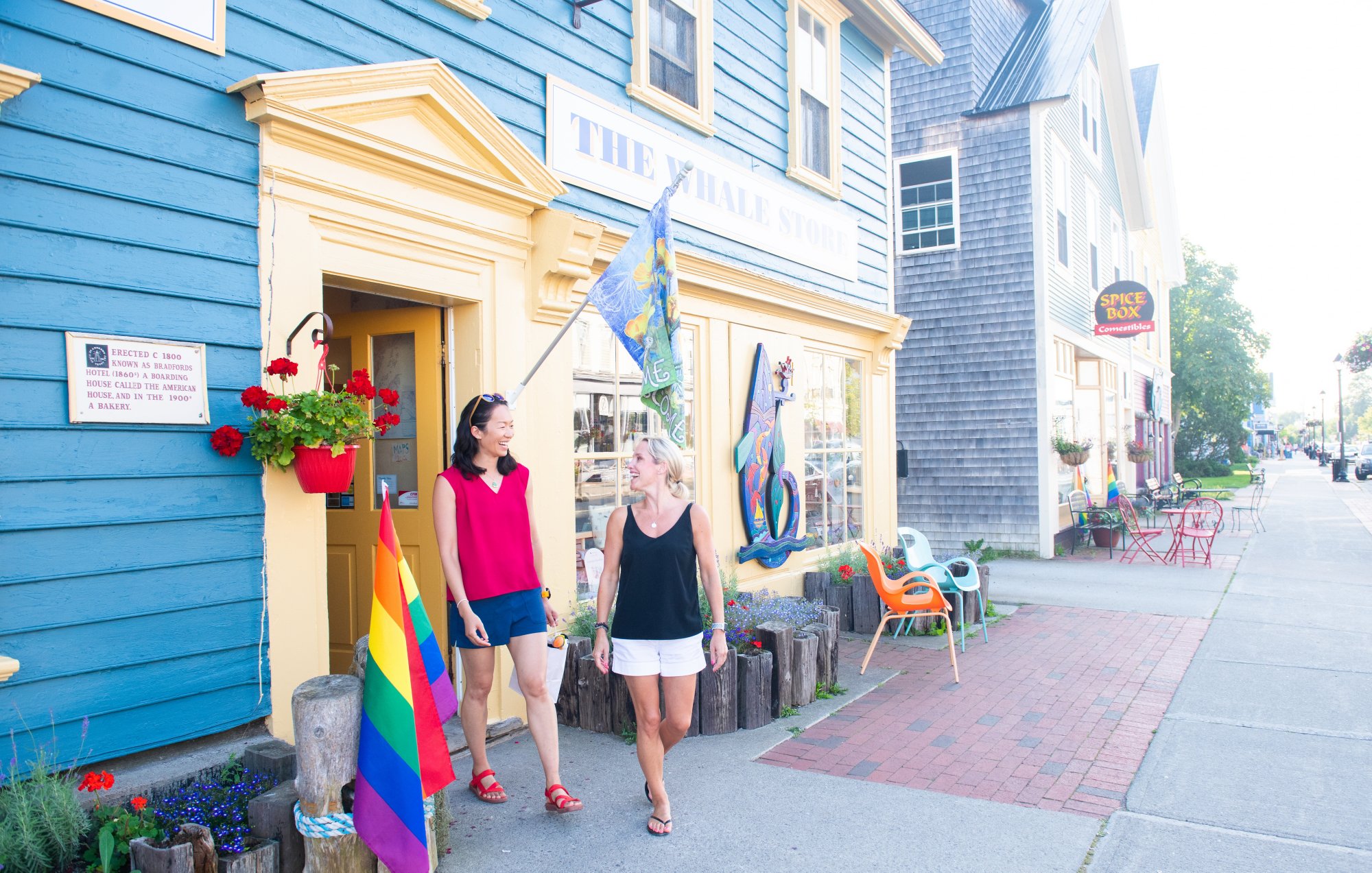 Image made By Scott Munn