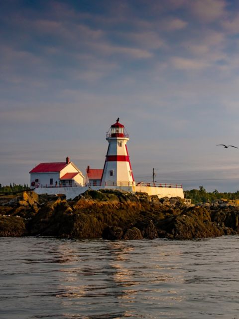 Image made By Scott Munn