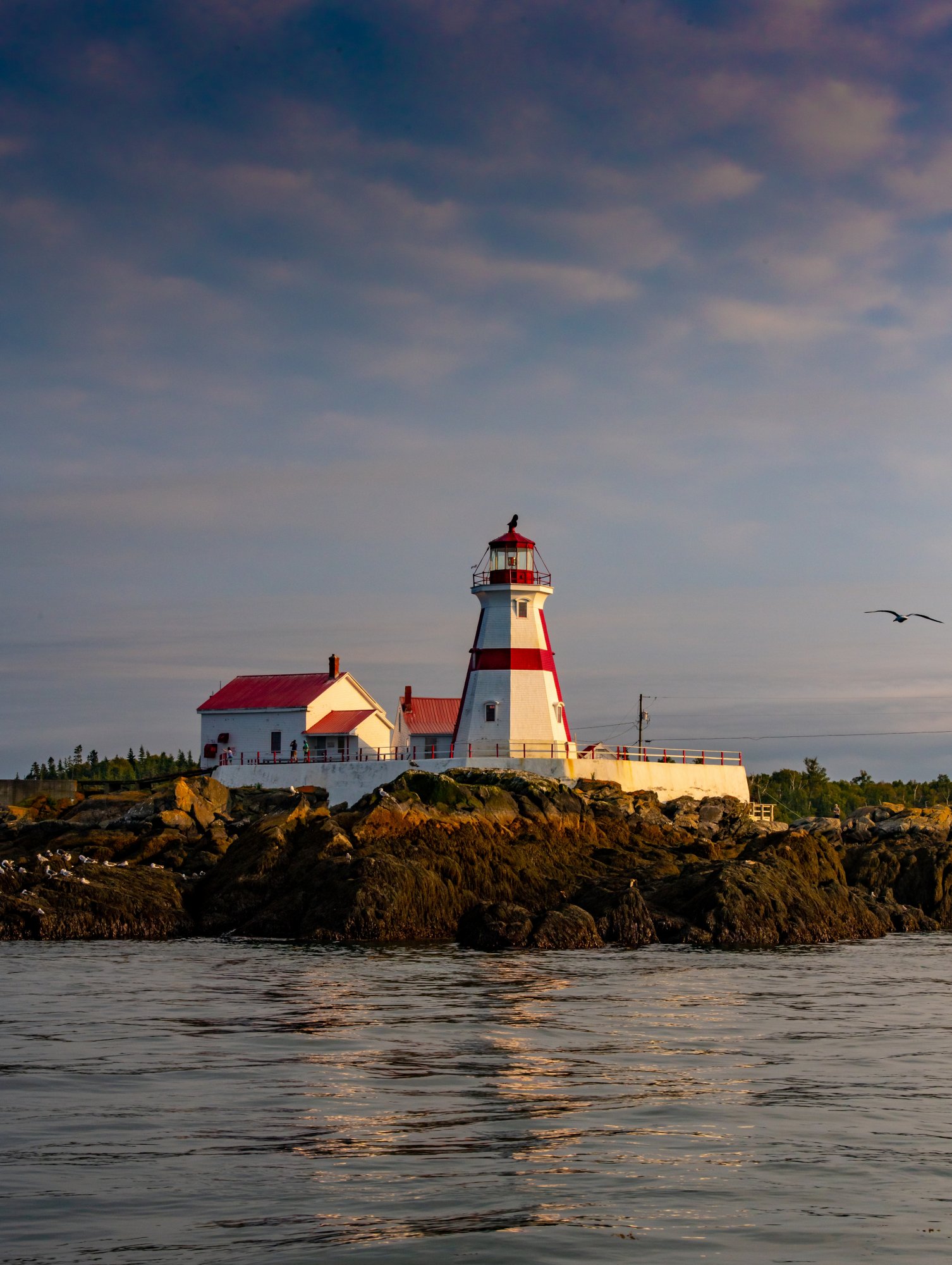 Image made By Scott Munn