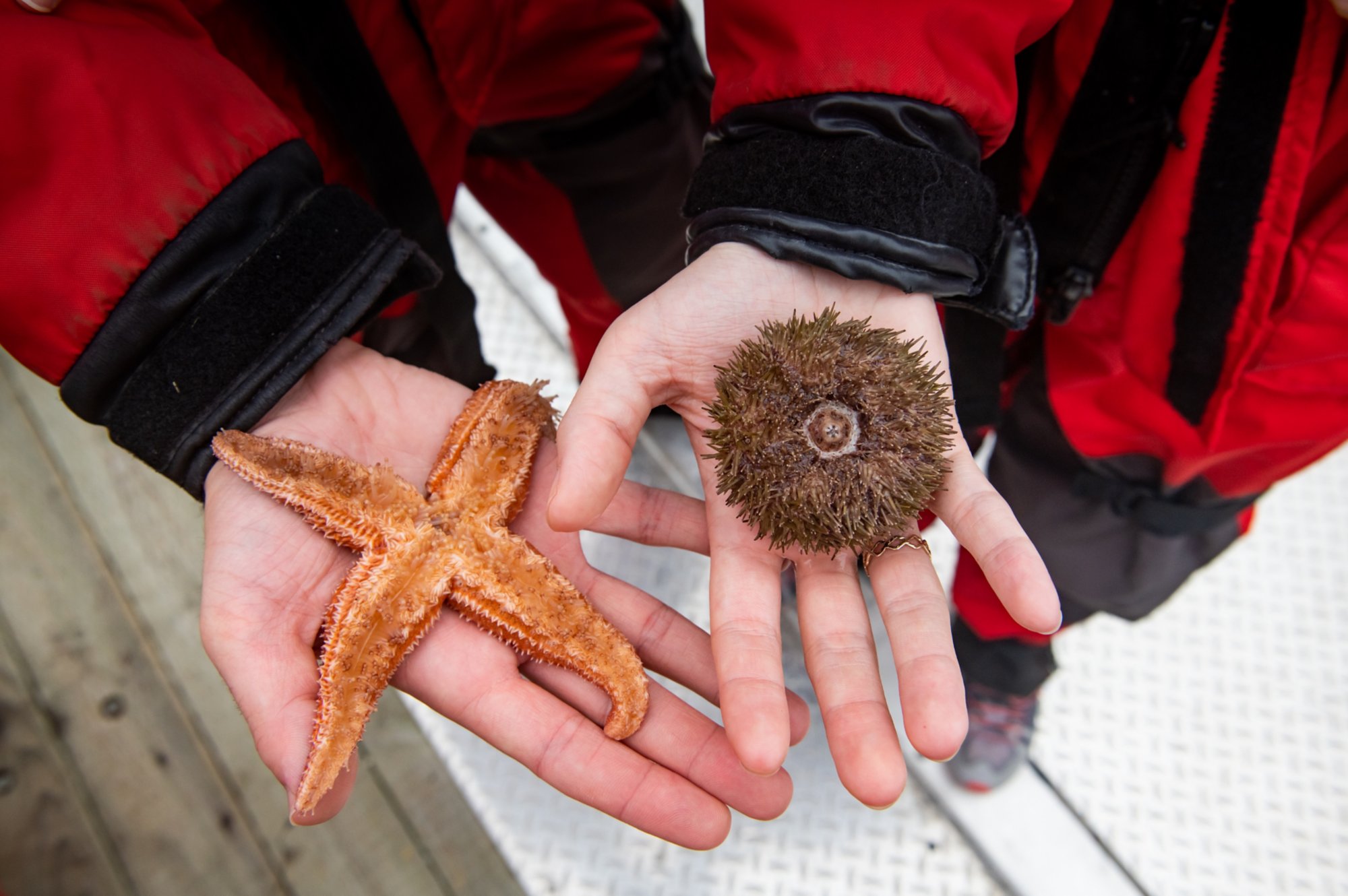 Image made By Scott Munn