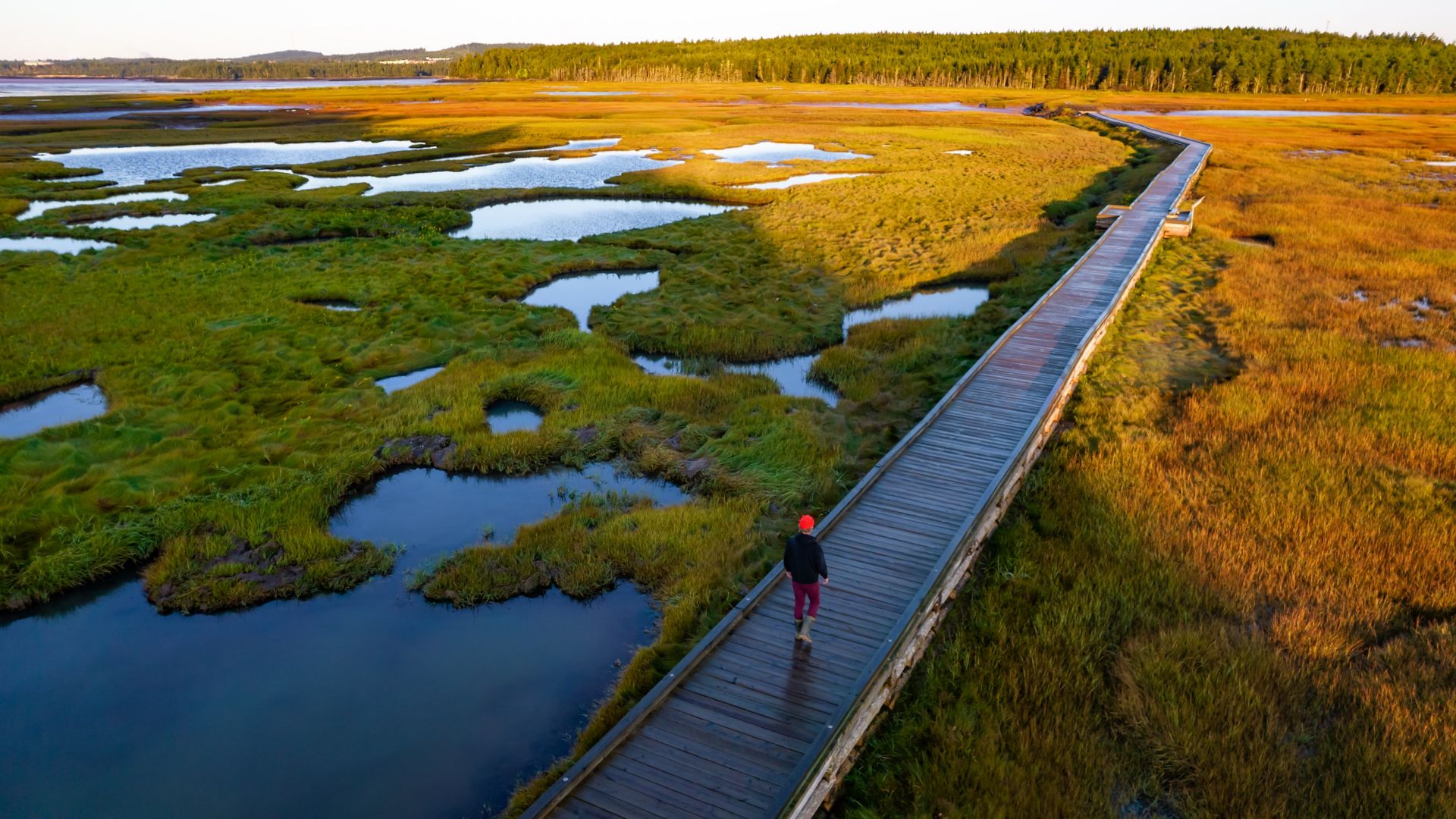 Wandern im Irving Nature Park