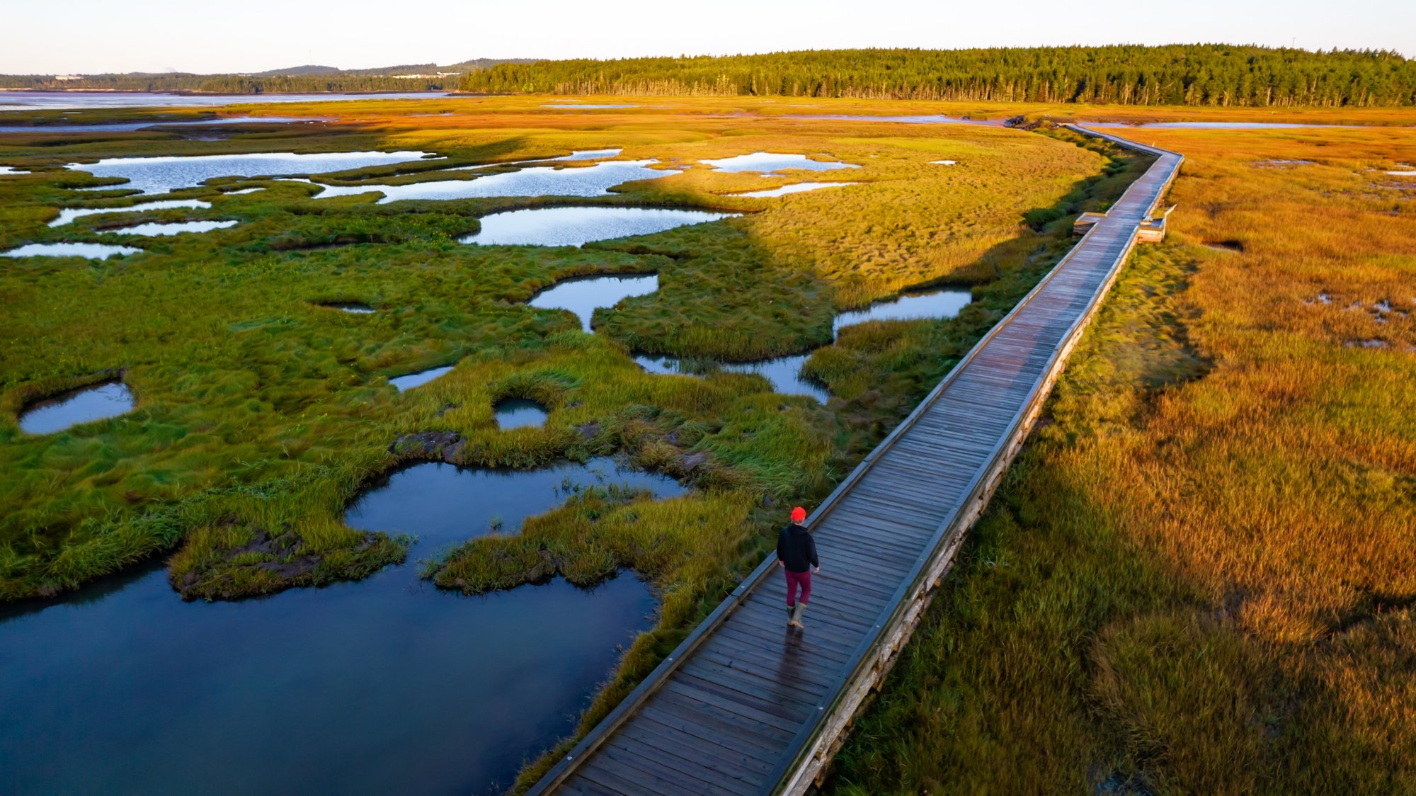 Image made By Scott MunnImage made By Scott Munn