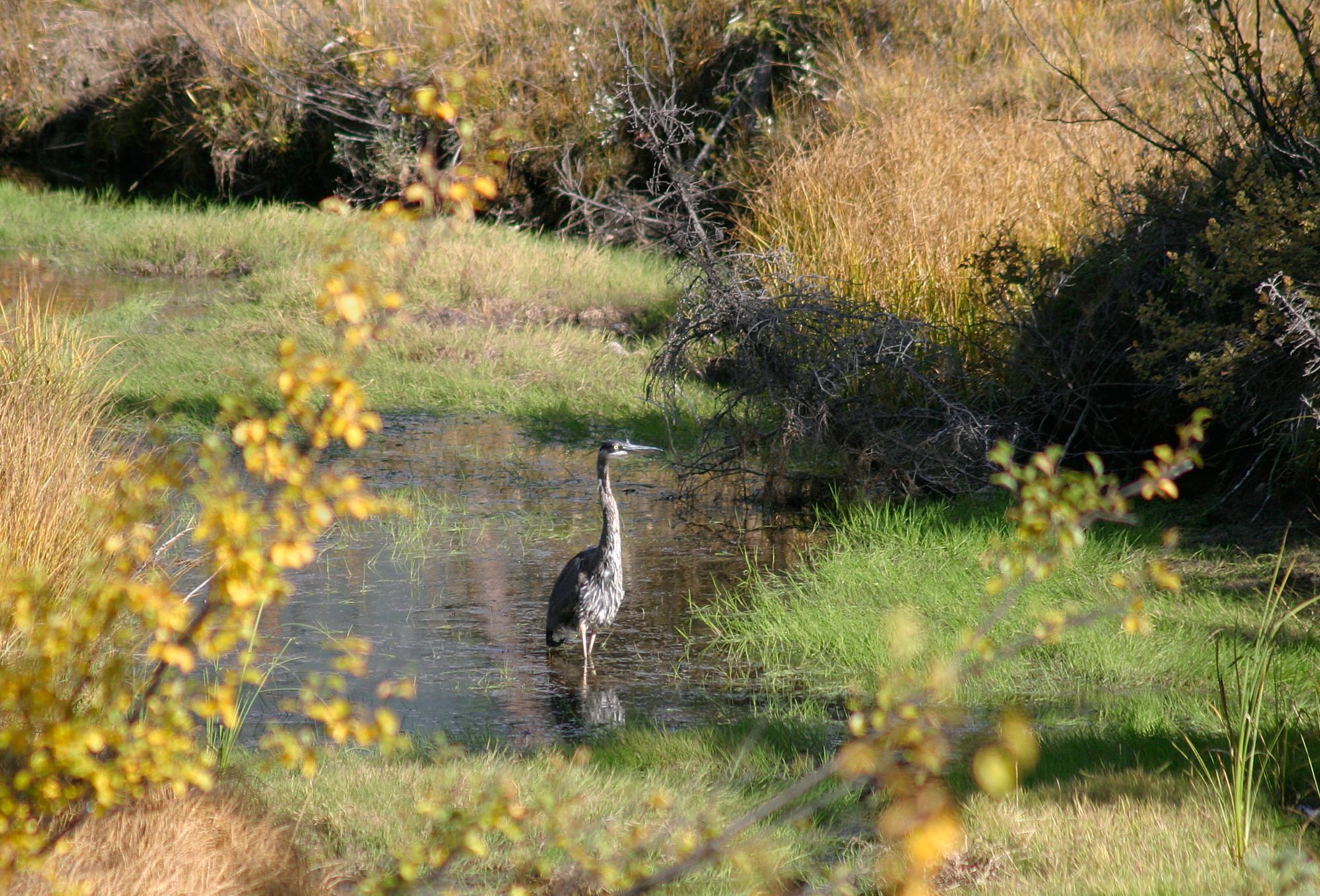 SJB14_IrvingNatureParkHike_006.jpg