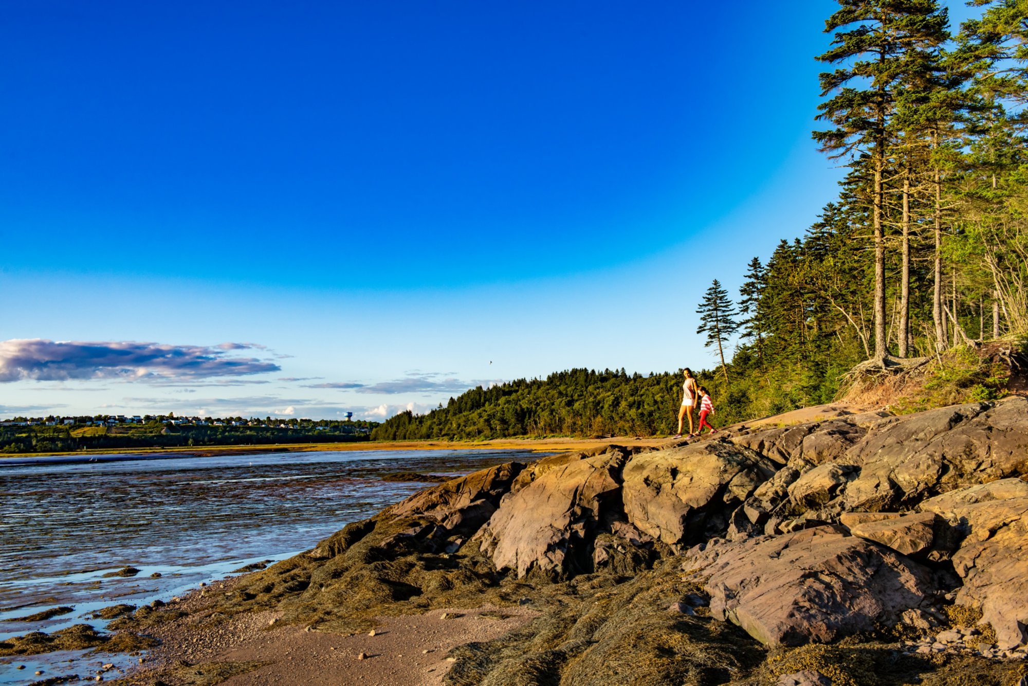 Image made By Scott MunnImage made By Scott Munn