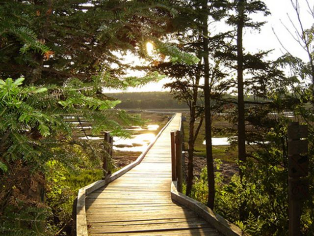 SJB14_IrvingNaturePark_003.jpg