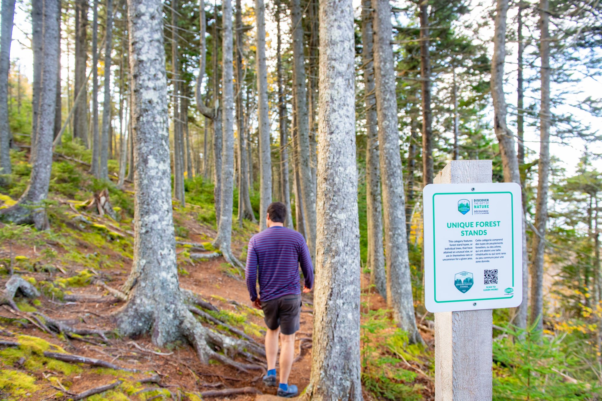 Image made By Scott MunnImage made By Scott Munn