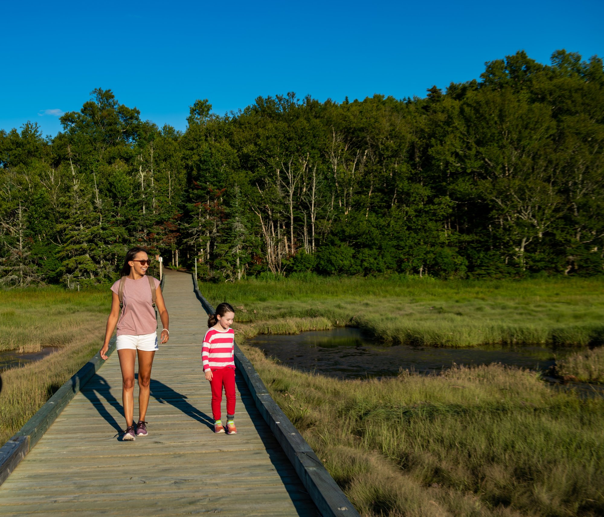 Image made By Scott MunnImage made By Scott Munn