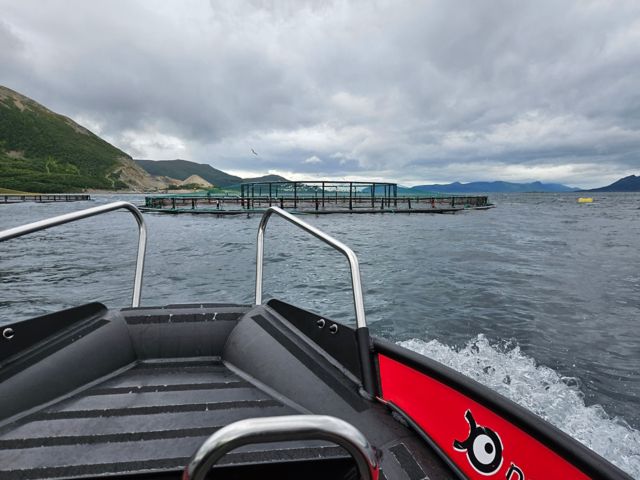Mit dem RIB zu einer typischen Fischfarm