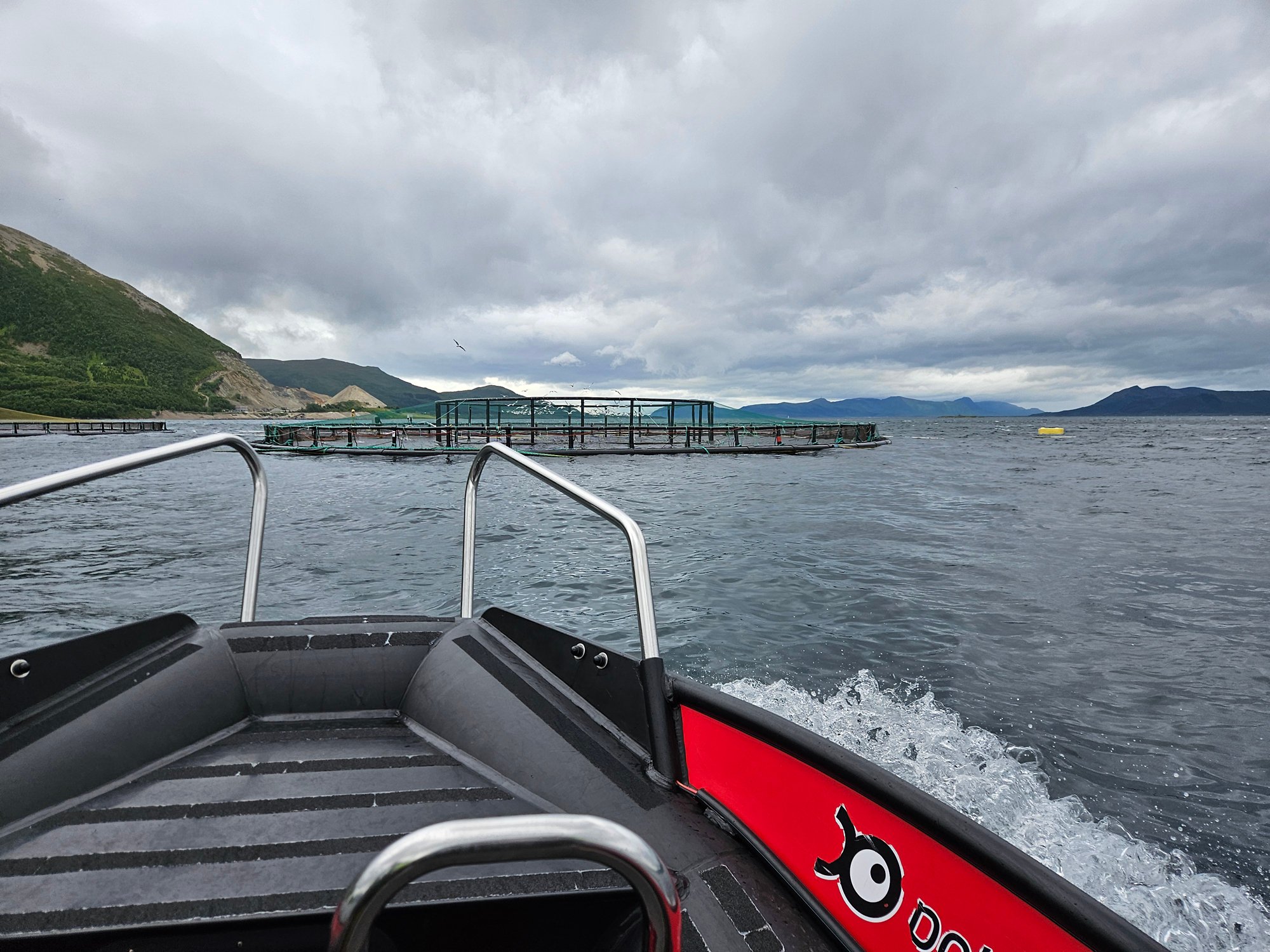 Mit dem RIB zu einer typischen Fischfarm