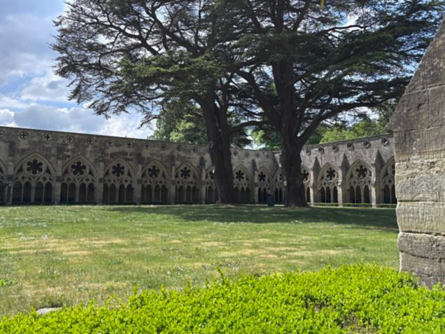 SOU_SOU01_Salisbury_Cathedral_Innnhof_PE_2025_3.JPG