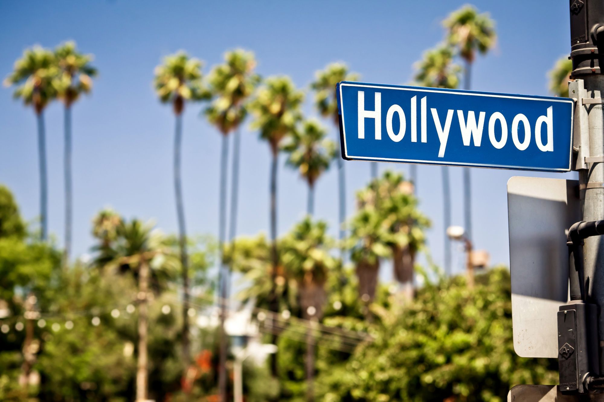 Komm an Land: Panoramafahrt durch Los Angeles